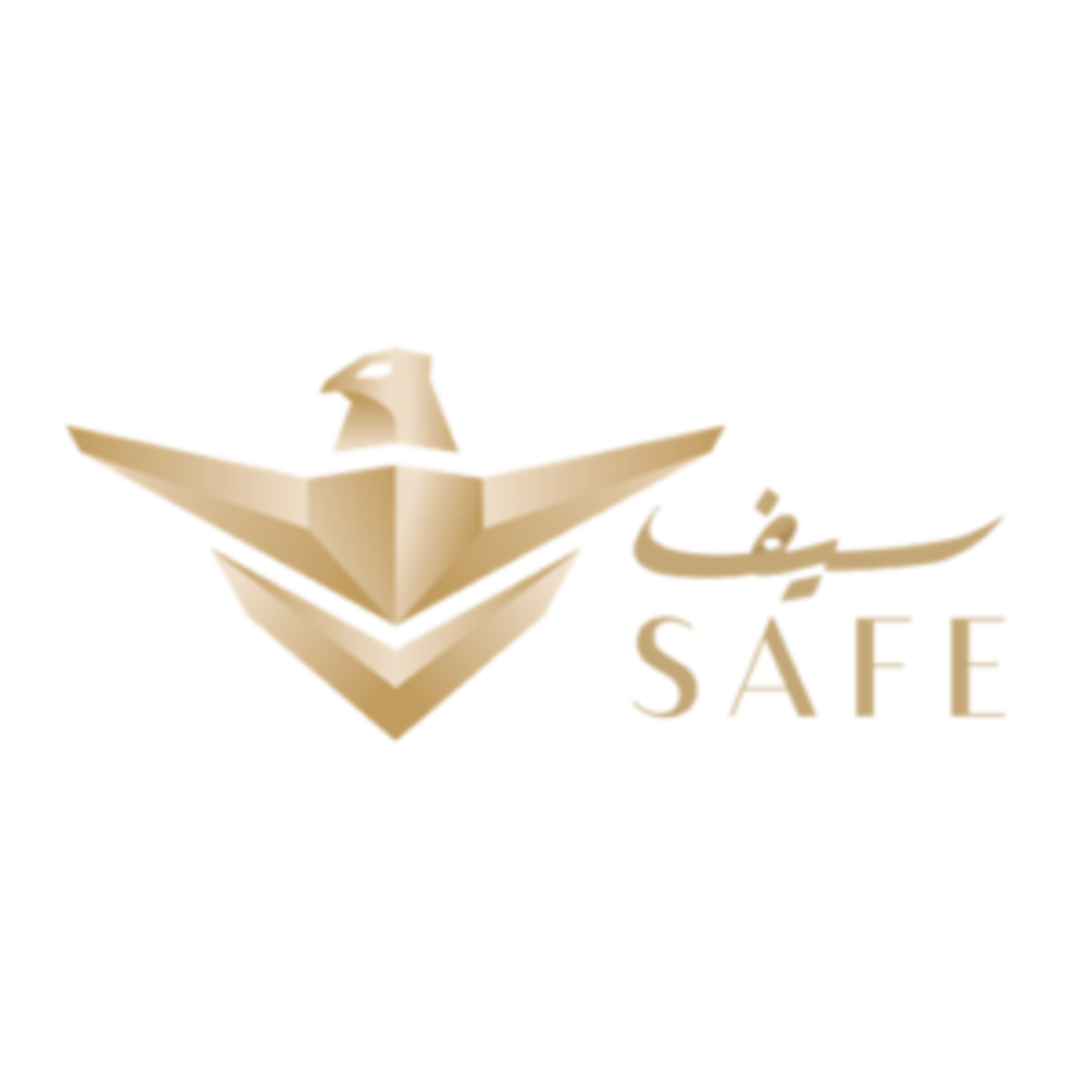 SAFE (1)